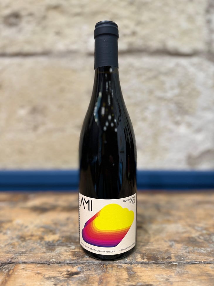 La Tête dans les Nuages Bourgogne Rouge - Domaine Ami - Paul Marchand-Perarnau & Willy Roulendes -2019