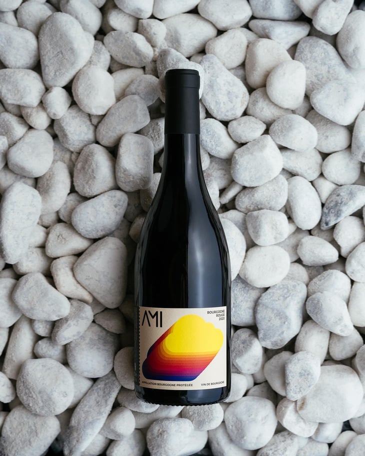 La Tête dans les Nuages Bourgogne Rouge - Domaine Ami - Paul Marchand-Perarnau & Willy Roulendes -2019