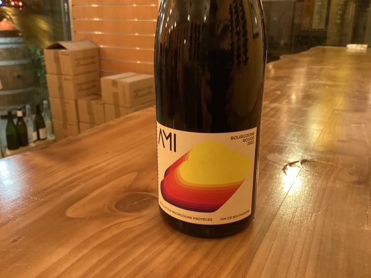 La Tête dans les Nuages Bourgogne Rouge - Domaine Ami - Paul Marchand-Perarnau & Willy Roulendes -2019