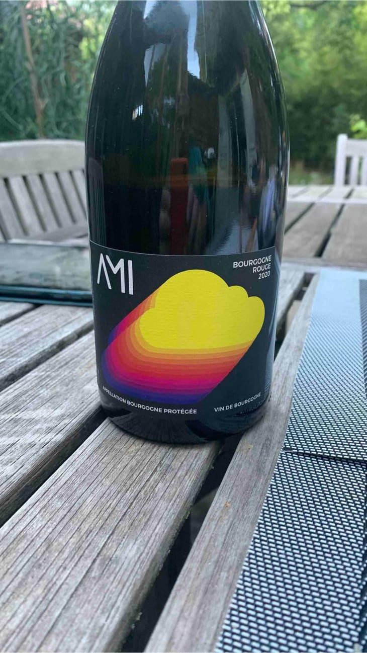 La Tête dans les Nuages Bourgogne Rouge - Domaine Ami - Paul Marchand-Perarnau & Willy Roulendes -2019
