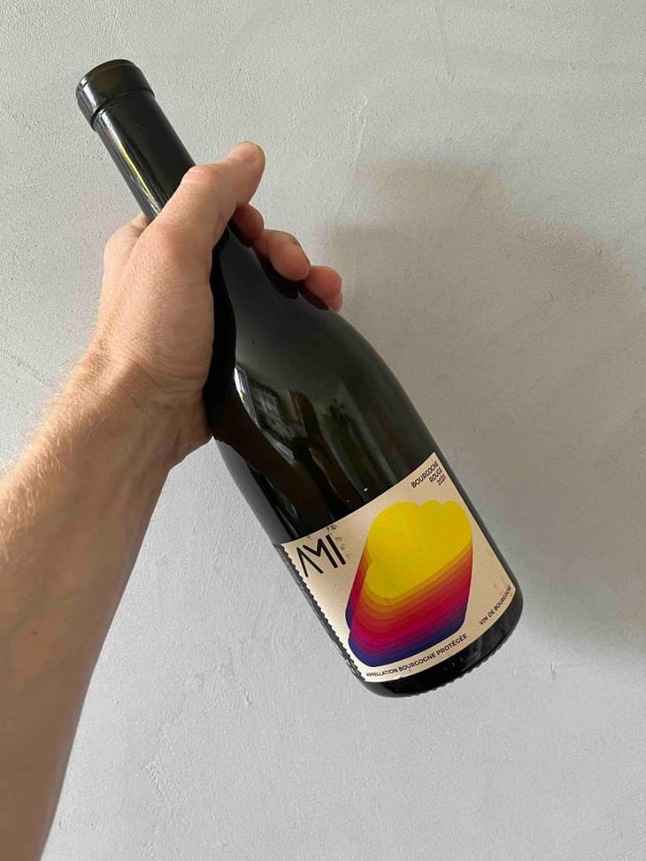 La Tête dans les Nuages Bourgogne Rouge - Domaine Ami - Paul Marchand-Perarnau & Willy Roulendes -2019