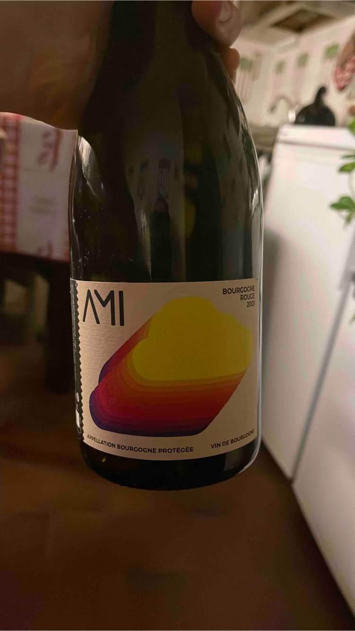 La Tête dans les Nuages Bourgogne Rouge - Domaine Ami - Paul Marchand-Perarnau & Willy Roulendes -2019