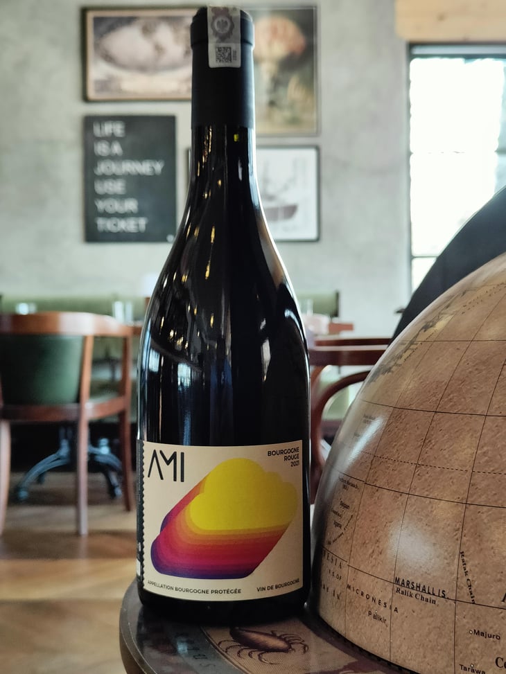 La Tête dans les Nuages Bourgogne Rouge - Domaine Ami - Paul Marchand-Perarnau & Willy Roulendes -2019