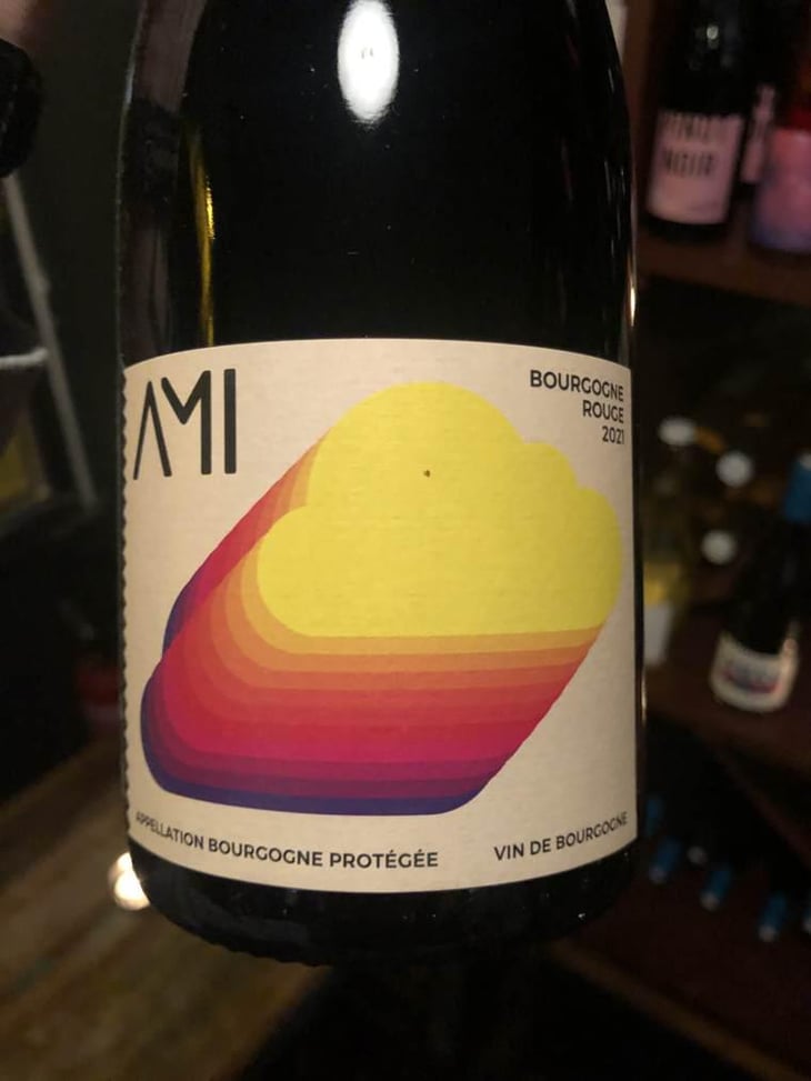 La Tête dans les Nuages Bourgogne Rouge - Domaine Ami - Paul Marchand-Perarnau & Willy Roulendes -2019