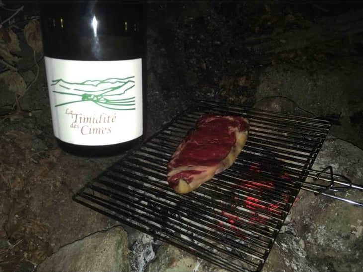 La Timidité des Cimes - Clos des Cimes - Elodie Aubert 
