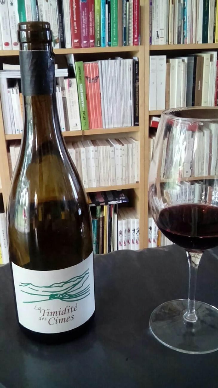 La Timidité des Cimes - Clos des Cimes - Elodie Aubert 