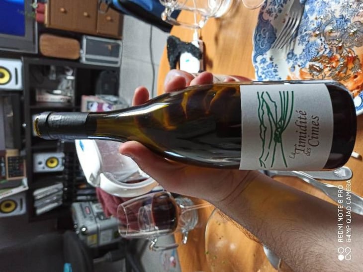 La Timidité des Cimes - Clos des Cimes - Elodie Aubert 