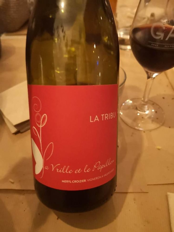 La Tribu - La Vrille et le Papillon - Géraldine & Méryl Croizier 