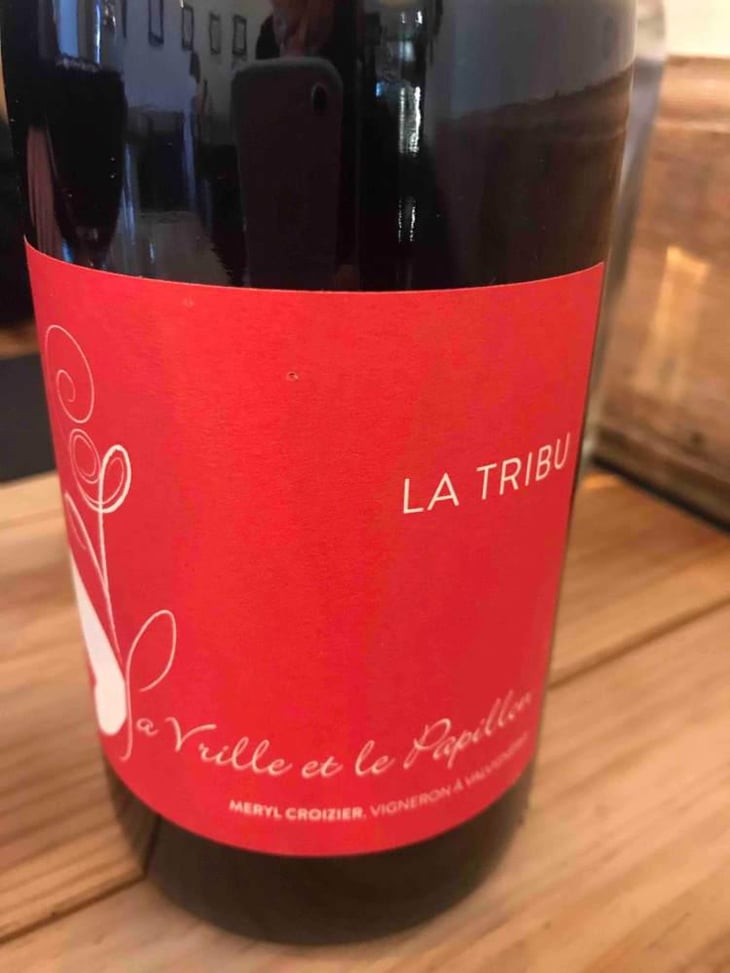 La Tribu - La Vrille et le Papillon - Géraldine & Méryl Croizier 