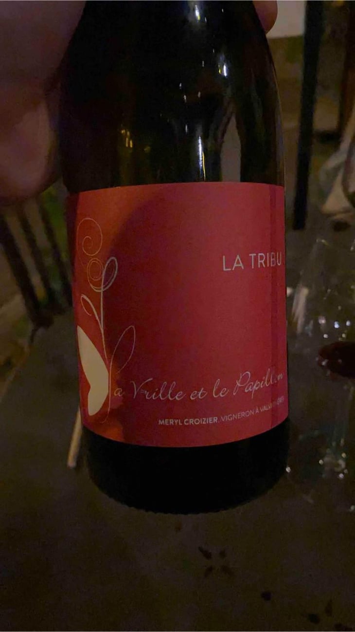 La Tribu - La Vrille et le Papillon - Géraldine & Méryl Croizier 
