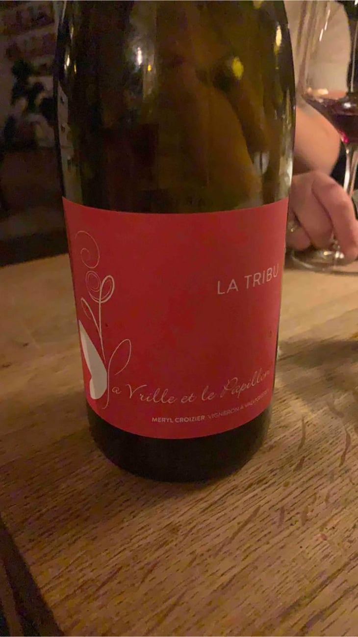 La Tribu - La Vrille et le Papillon - Géraldine & Méryl Croizier 