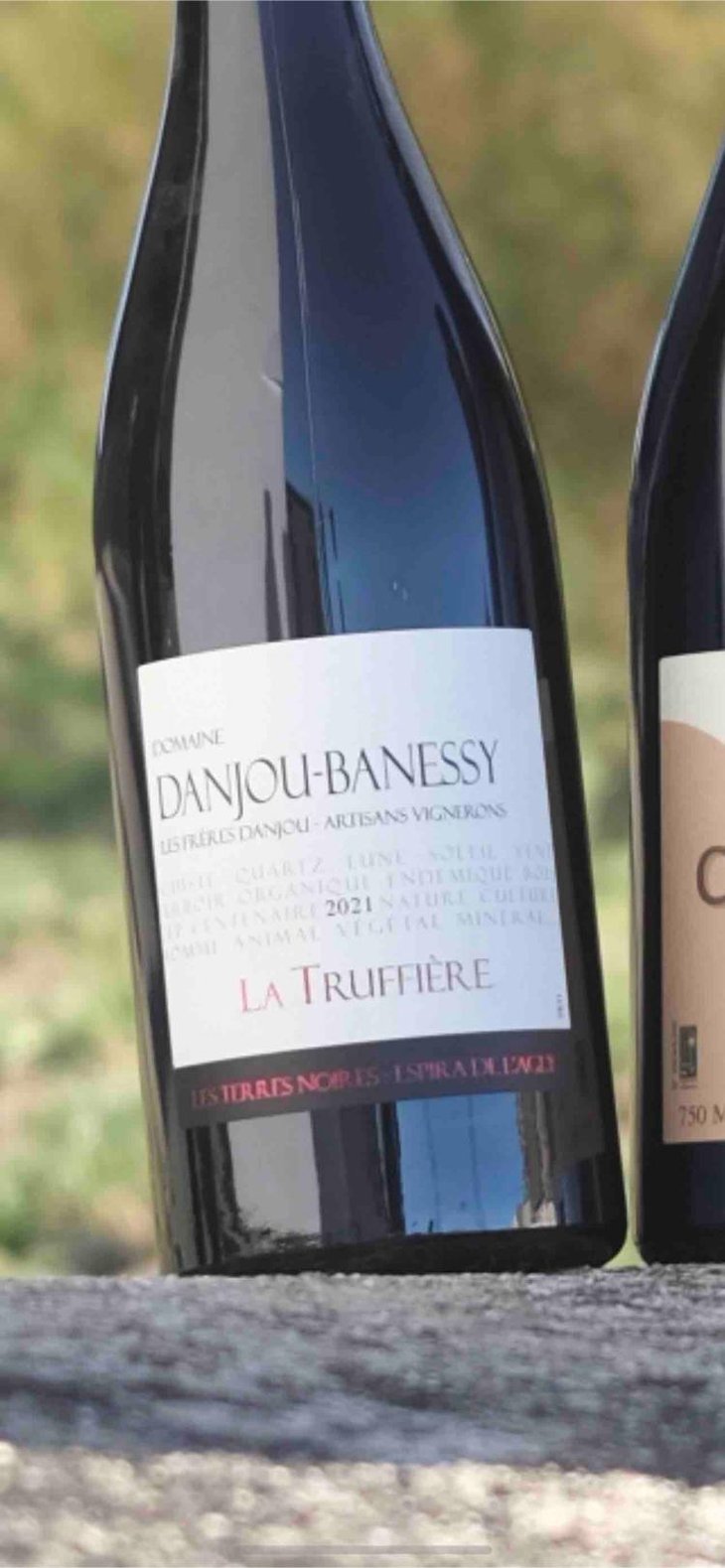 La Truffière (Rouge) - Domaine Danjou-Banessy - Benoît & Sébastien Danjou 