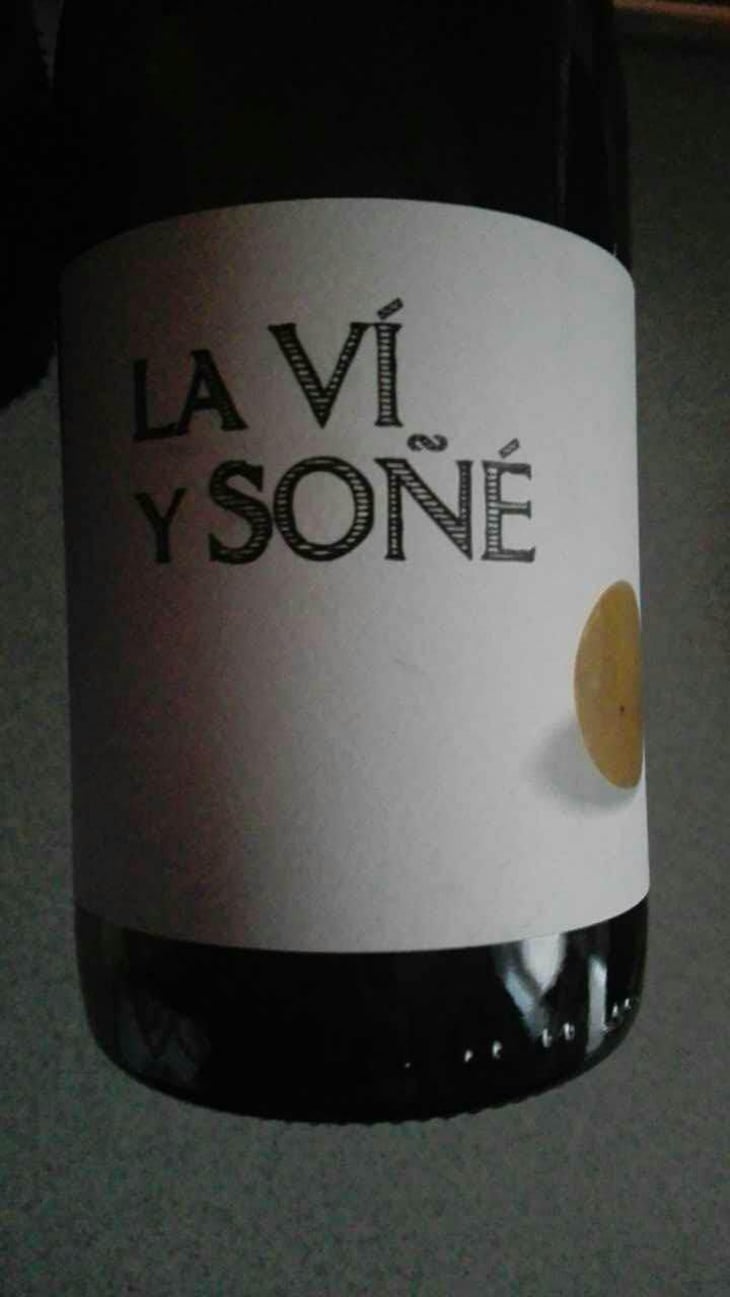 La Ví y Soñé - Barranco Oscuro - Manuel & Lorenzo Valenzuela 