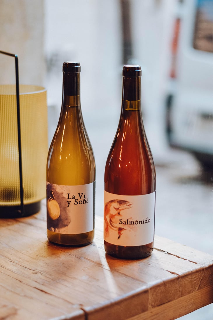 La Ví y Soñé - Barranco Oscuro - Manuel & Lorenzo Valenzuela 