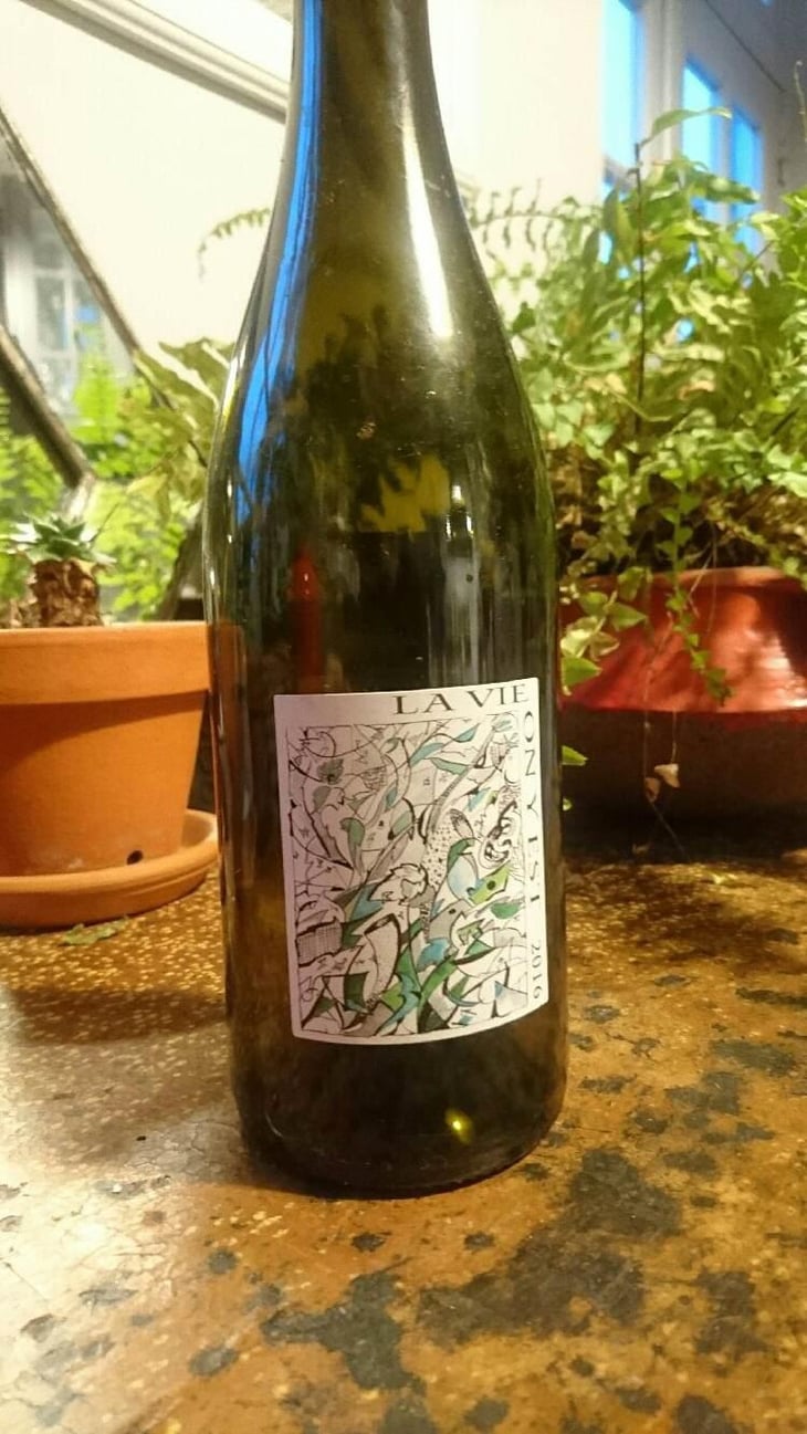 La Vie On Y Est - Domaine Gramenon - Michèle Aubéry-Laurent & Maxime-Francois Laurent 