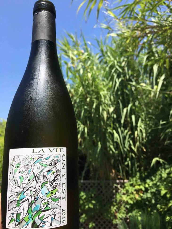 La Vie On Y Est - Domaine Gramenon - Michèle Aubéry-Laurent & Maxime-Francois Laurent 
