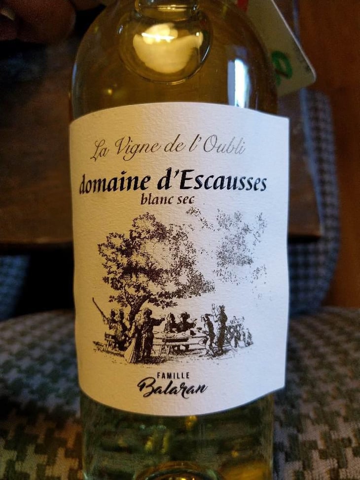 La Vigne De L'oubli - Domaine D'escausses - SARL Denis Balaran 