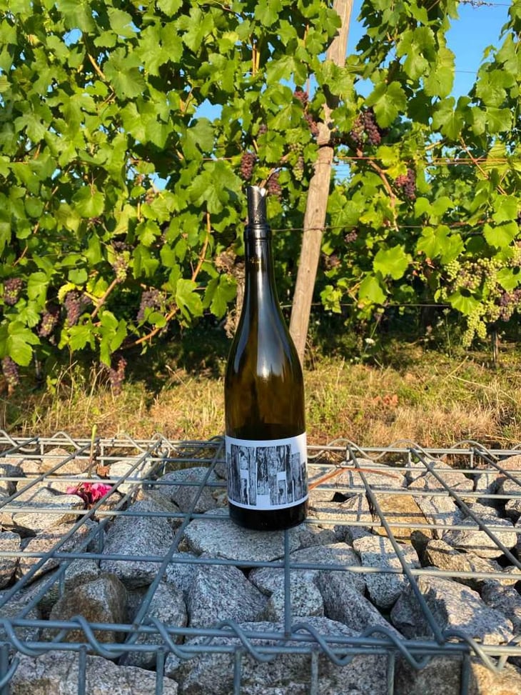 La Vigne Du Clou - Alexandre Jouveaux - Alexandre Jouveaux 