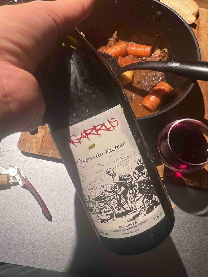 La Vigne du Facteur - Agarrus - Serge Scherrer 