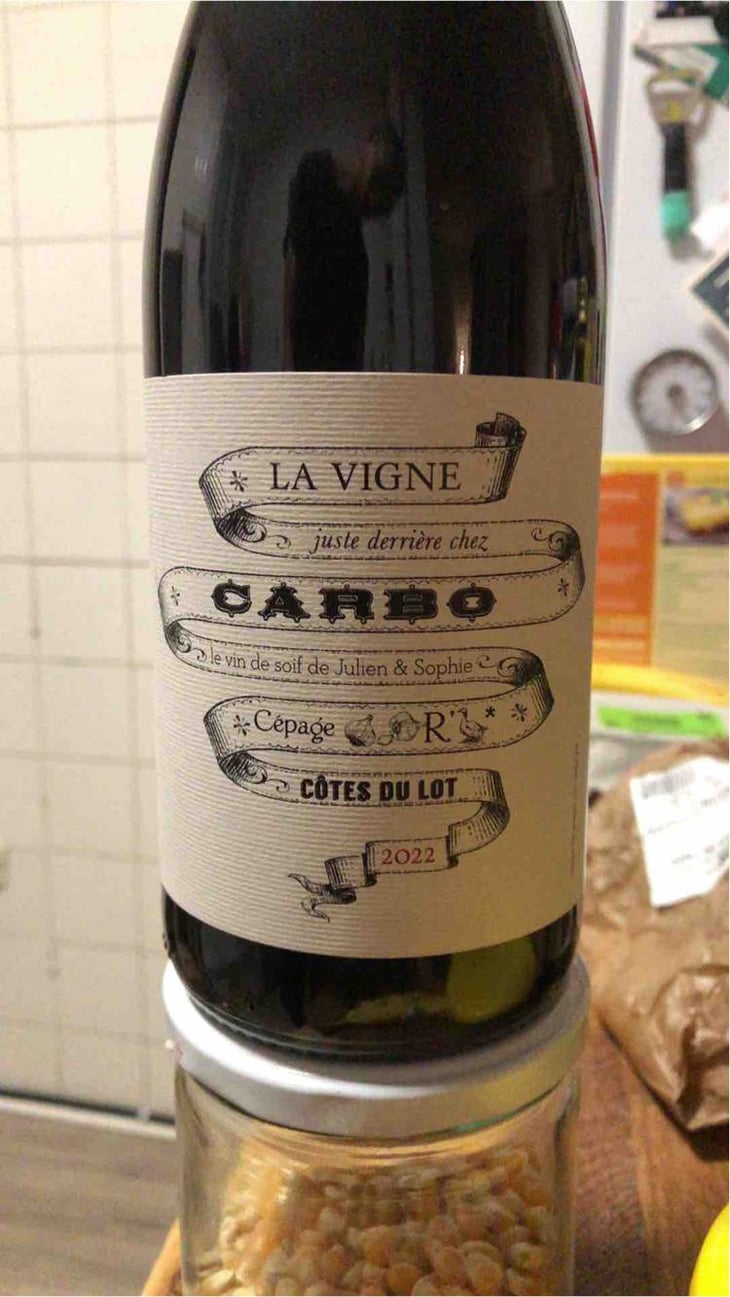 La Vigne Juste Derrière Chez Carbo - Château Combel La Serre - Sophie & Julien Ilbert 