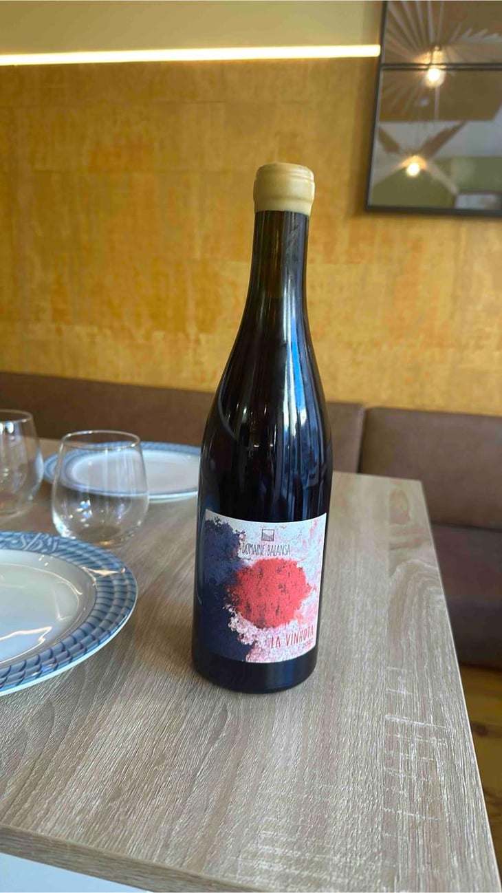 La Vinhota - Domaine Balansa - Céline Peyre & Alex Gressent 