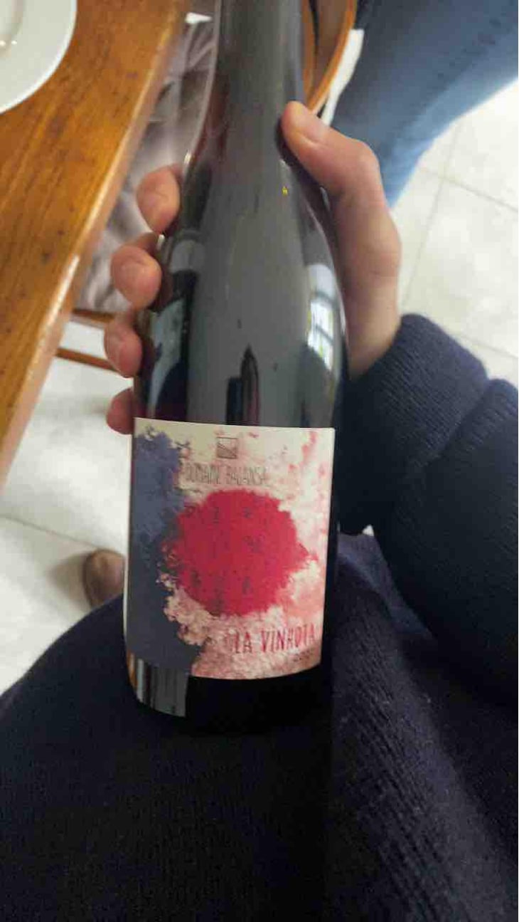 La Vinhota - Domaine Balansa - Céline Peyre & Alex Gressent 