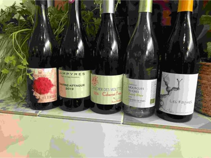 La Vinhota - Domaine Balansa - Céline Peyre & Alex Gressent 