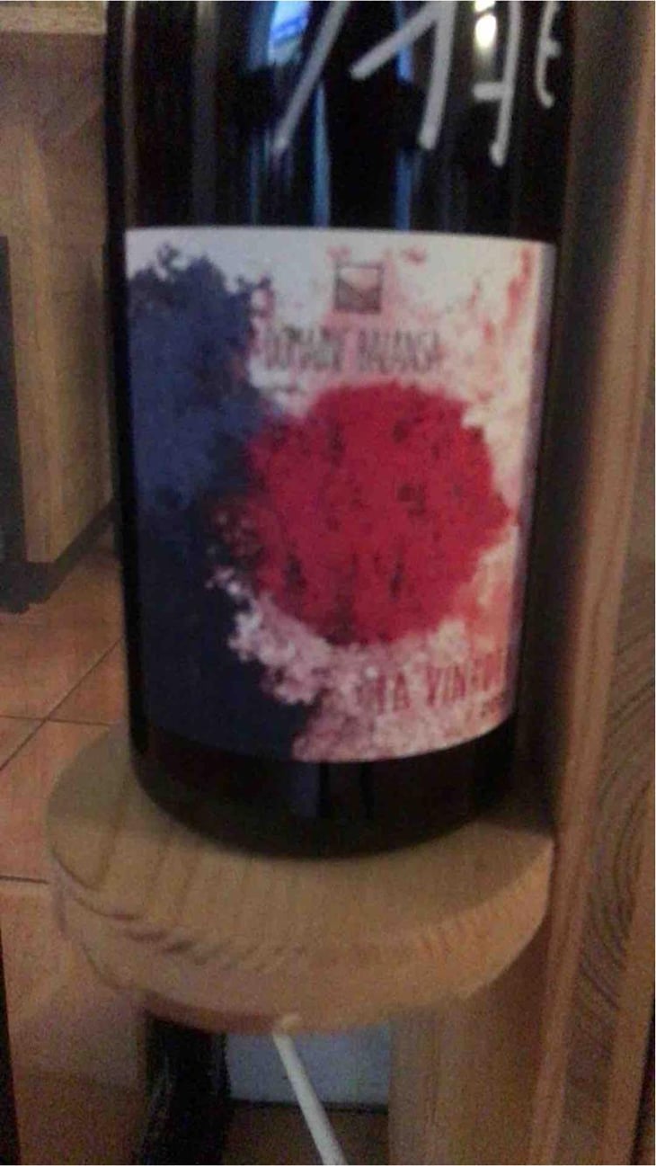 La Vinhota - Domaine Balansa - Céline Peyre & Alex Gressent 