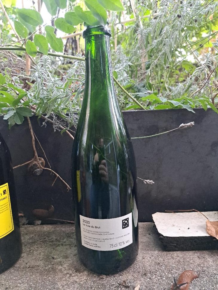 La Voie du Brut - Cave Saint-Germain - Aurèle Morf -2020