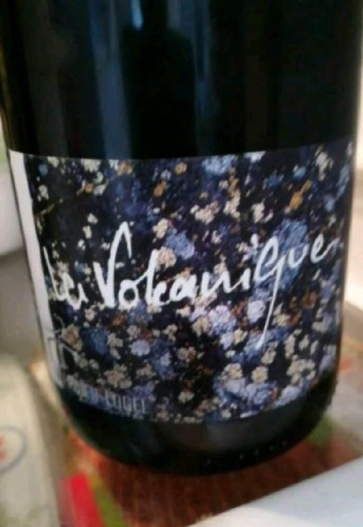 La Volcanique - Cave Verdier-Logel - Maxime Gillier, Jacky ,Julie & Odile Logel 
