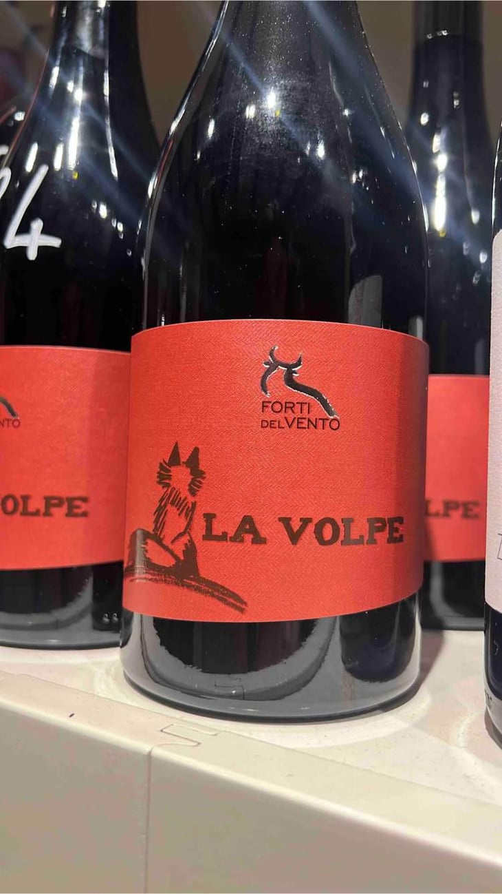 la volpe - Azienda Agricola Forti Del Vento - Marco Tacchino, Manuela Murchio & Tomaso Armento 