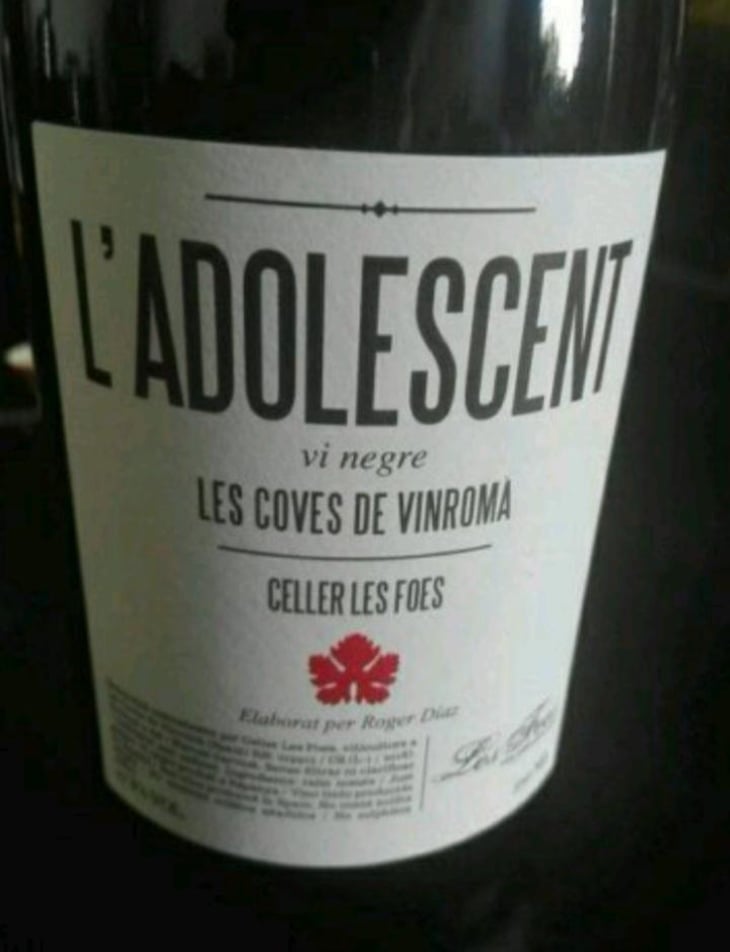 L'Adolescent - Celler Les Foes - Roger Díaz -2022