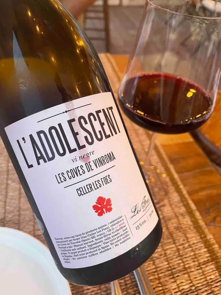 L'Adolescent - Celler Les Foes - Roger Díaz -2022
