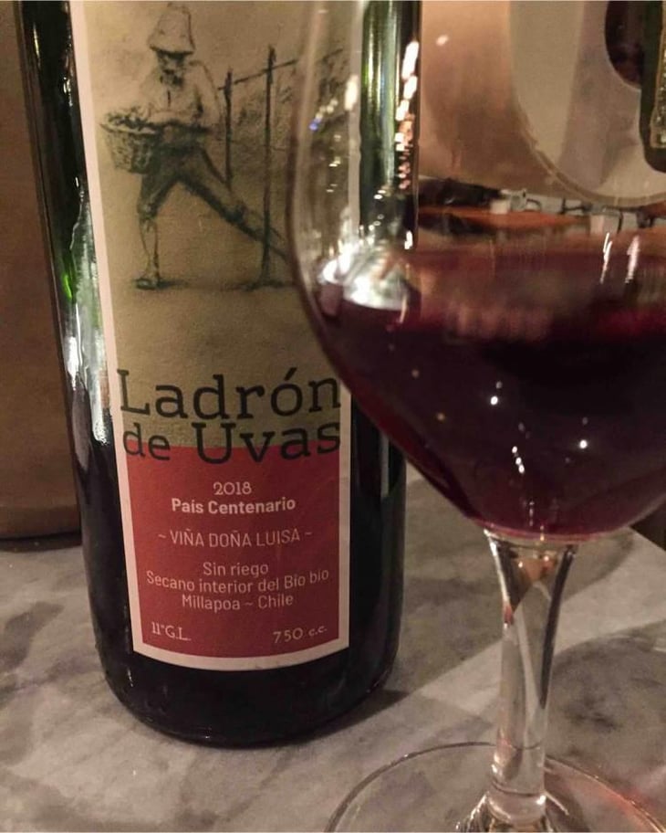Ladron de Uvas - Viña Doña Luisa - Patricio Cea 