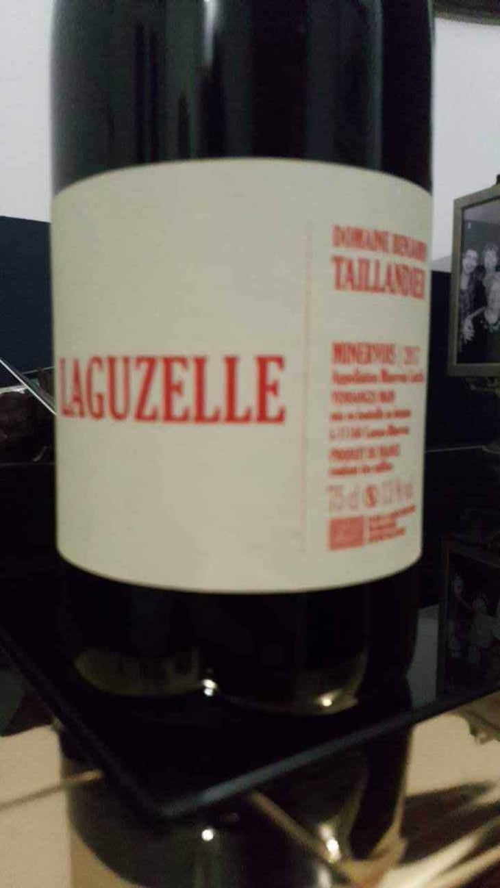 Laguzelle - Domaine Benjamin Taillandier - Benjamin Taillandier 