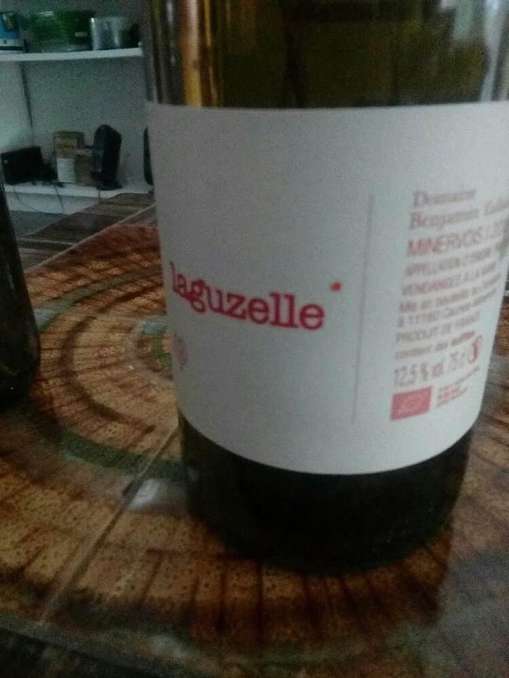 Laguzelle - Domaine Benjamin Taillandier - Benjamin Taillandier 