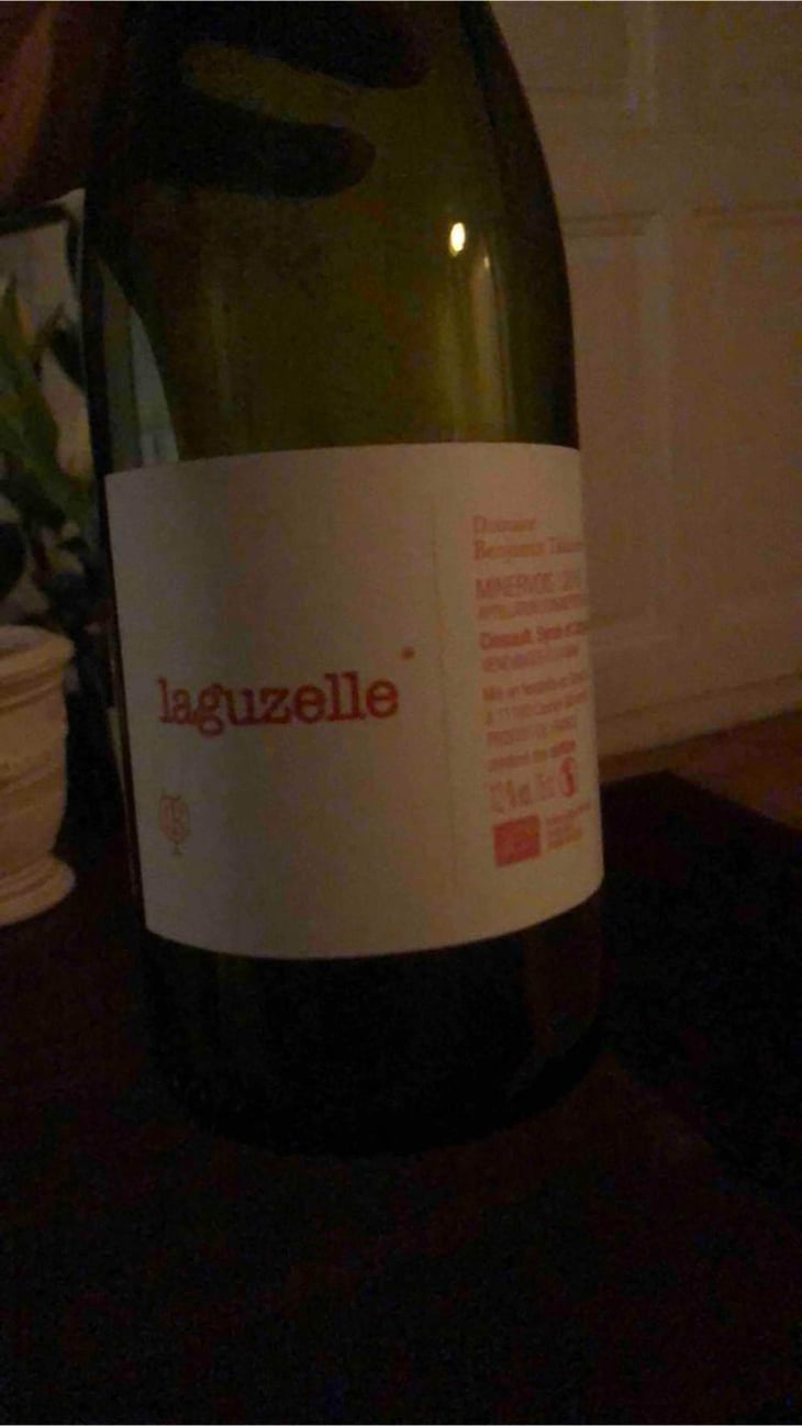 Laguzelle - Domaine Benjamin Taillandier - Benjamin Taillandier 