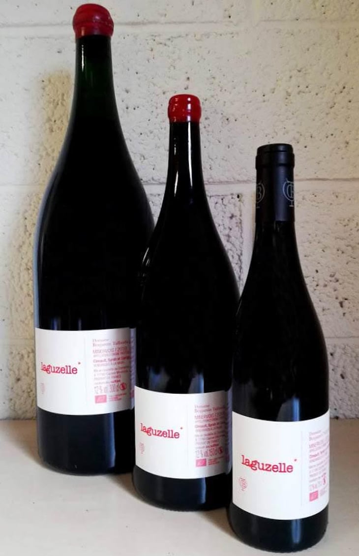 Laguzelle - Domaine Benjamin Taillandier - Benjamin Taillandier 