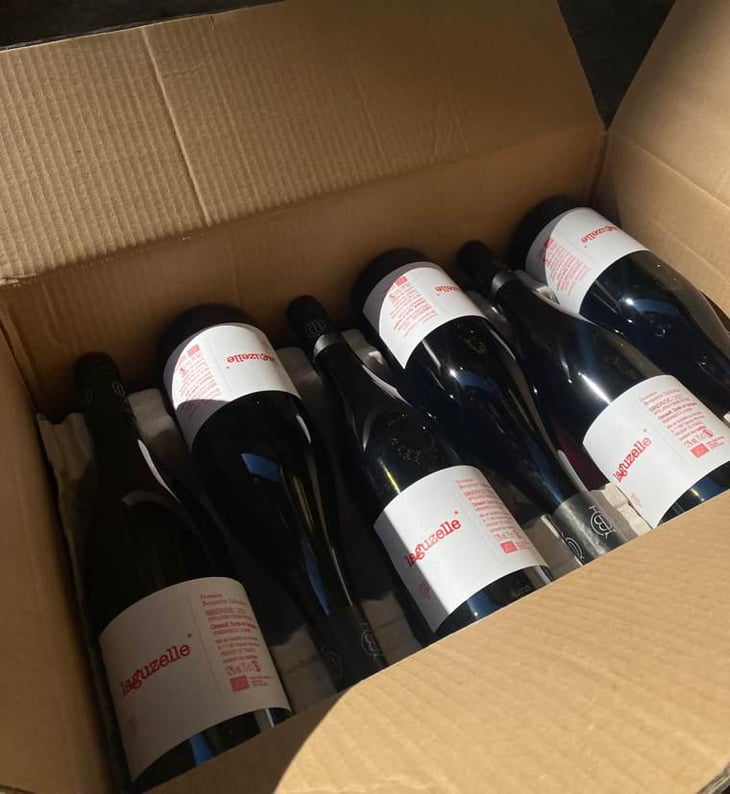 Laguzelle - Domaine Benjamin Taillandier - Benjamin Taillandier 