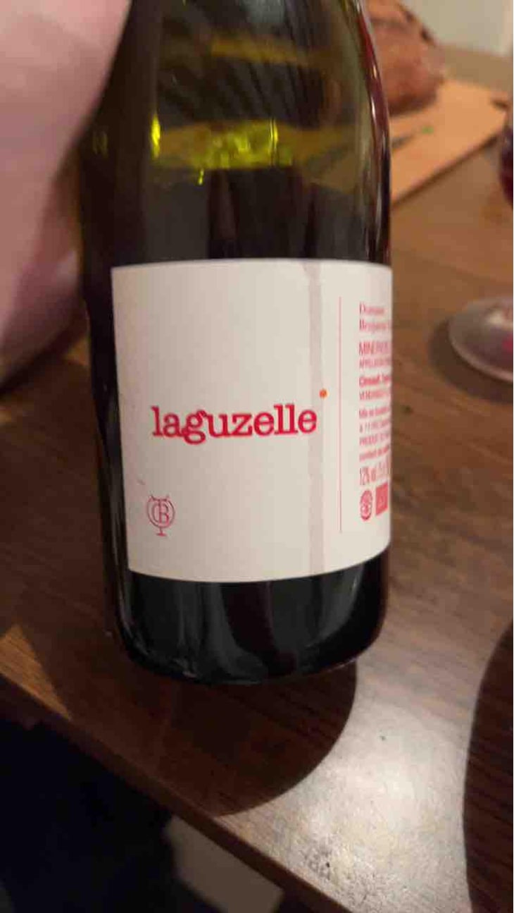 Laguzelle - Domaine Benjamin Taillandier - Benjamin Taillandier 