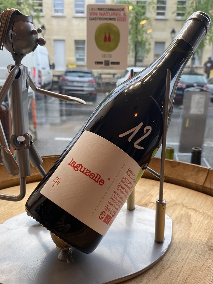 Laguzelle - Domaine Benjamin Taillandier - Benjamin Taillandier 