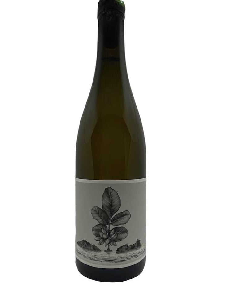 L'Aigine Blanc - Domaine de l’Or Vert - Clément Jeannoulot & Aurélien Le Tellier 
