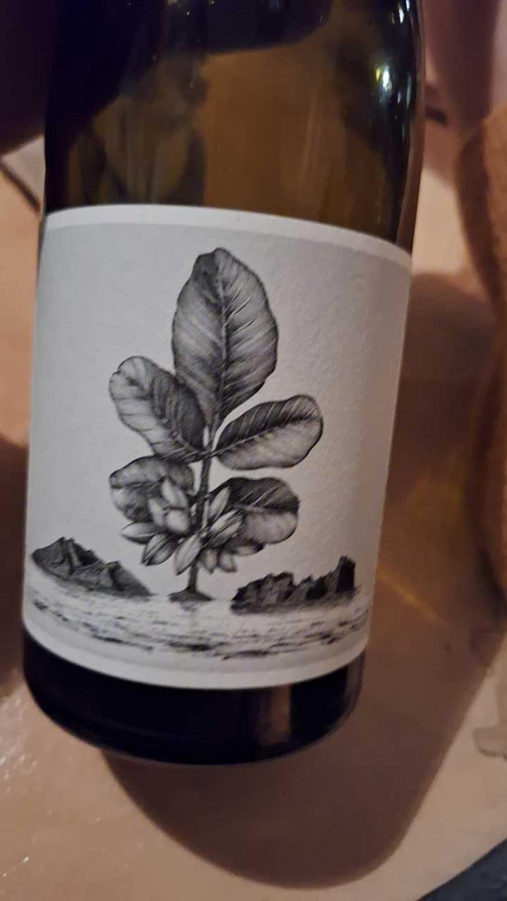 L'Aigine Blanc - Domaine de l’Or Vert - Clément Jeannoulot & Aurélien Le Tellier 