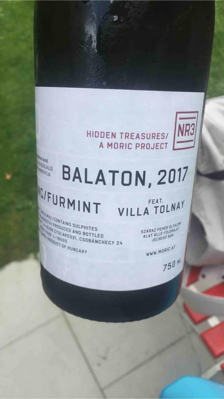 Balaton 2017 - Moric - Roland Velich 