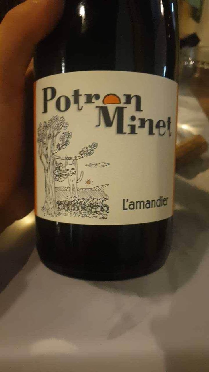 L'Amandier - Potron Minet - Jean-Sébastien Gioan 
