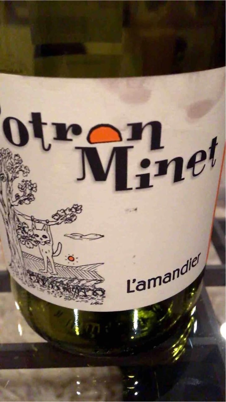 L'Amandier - Potron Minet - Jean-Sébastien Gioan 