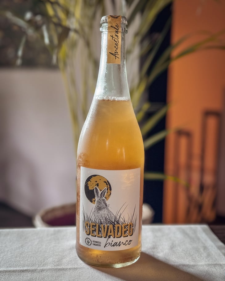 Selvadeg Bianco - Vitivinicola Fangareggi - Matteo Fangareggi 