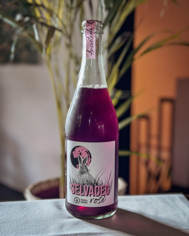 Selvadeg Rosè - Vitivinicola Fangareggi - Matteo Fangareggi 
