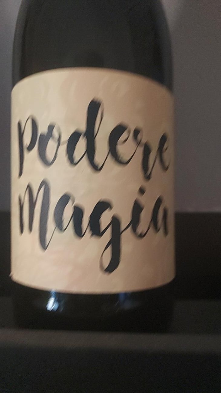 Lambrusco dell’Emilia Igt - Podere Magia - Stefano Pescarmona 