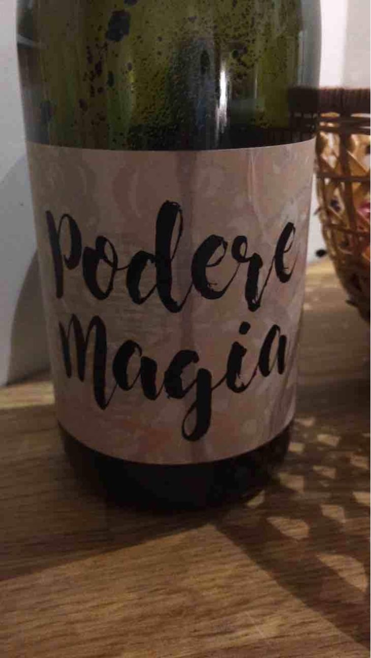 Lambrusco dell’Emilia Igt - Podere Magia - Stefano Pescarmona 